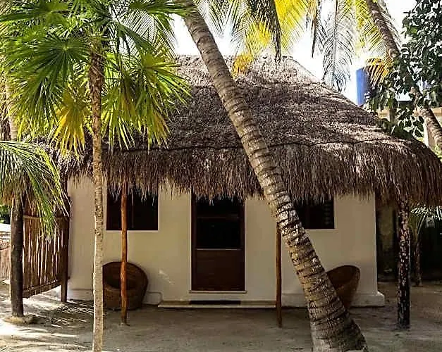 Alito Tulum, Formerly La Diosa