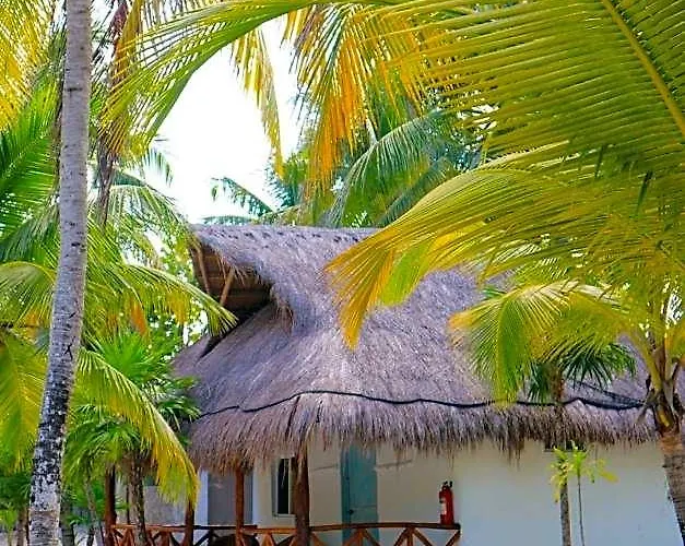 Alito Tulum, Formerly La Diosa