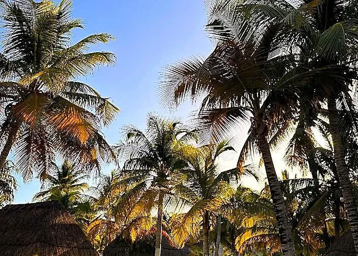 Alito Tulum, Formerly La Diosa 3* Tulum